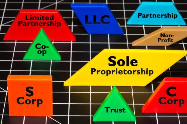 Différences LLC et autres structures